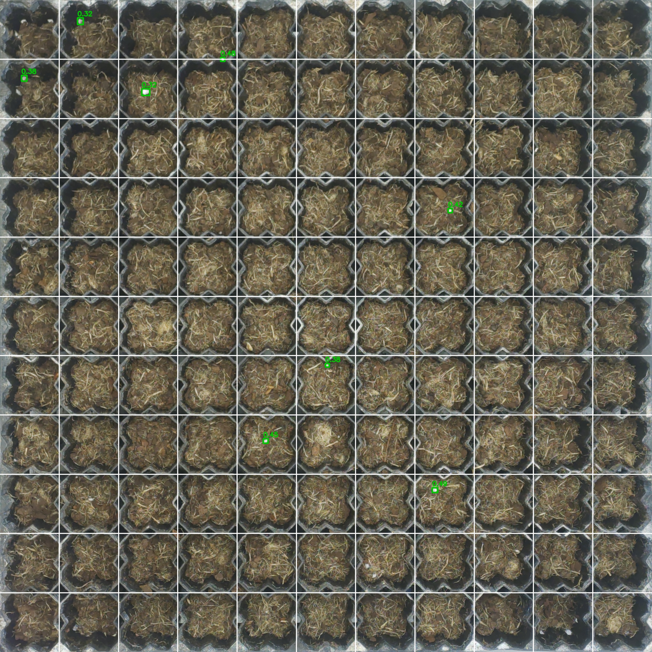 Annotated tray photo